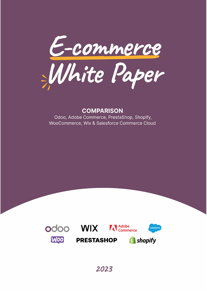 e-Commerce Comparison White Paper